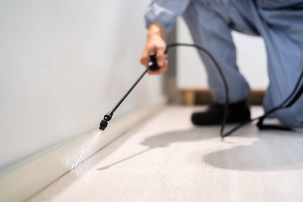 Licensed Termite Control service in Oakleaf Plantation, FL - Show Me Pest Control