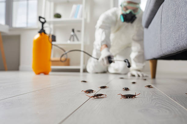 Post-Treatment Bed Bug Interceptor Monitoring in Oakleaf Plantation