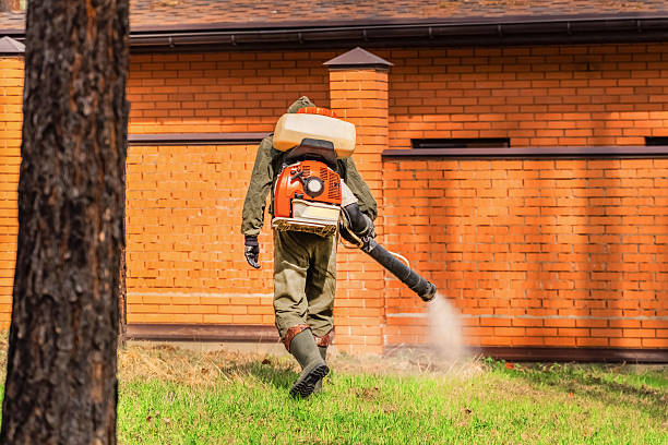 Bed Bug Clearance Verification and Documentation in Oakleaf Plantation